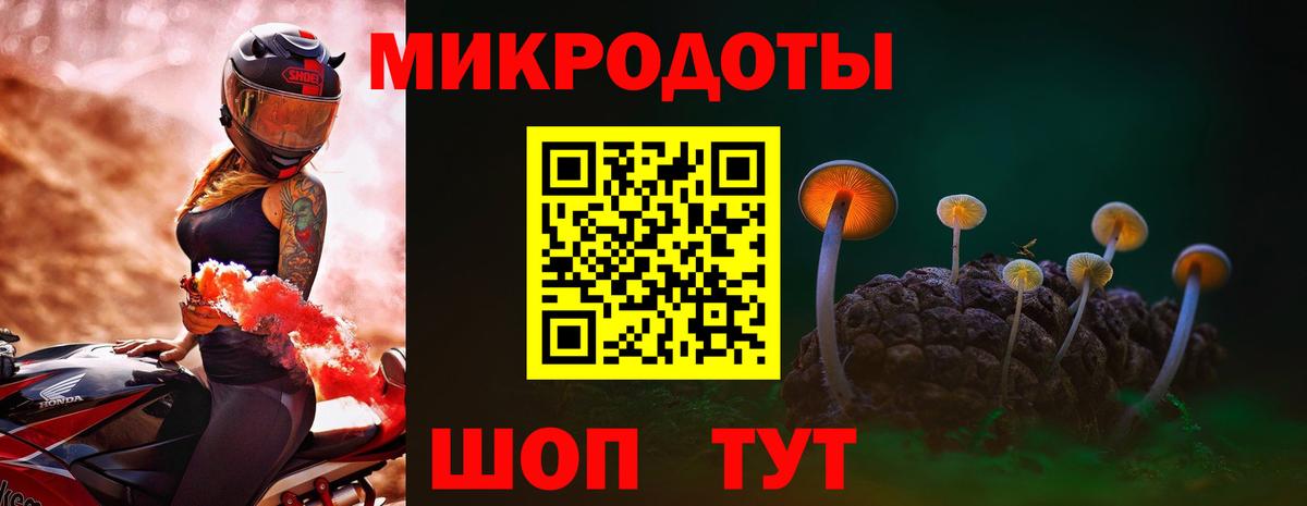 Галлюциногенные грибы Psilocybe Ярославль
